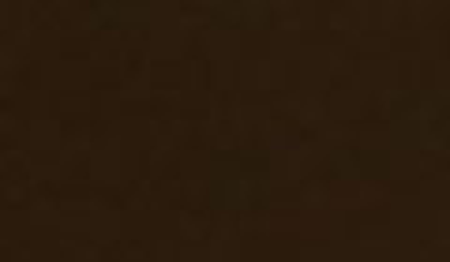 Плоский лист с защитной пленкой 0,50мм РЕ Norman 8017 купить в Санкт-Петербурге