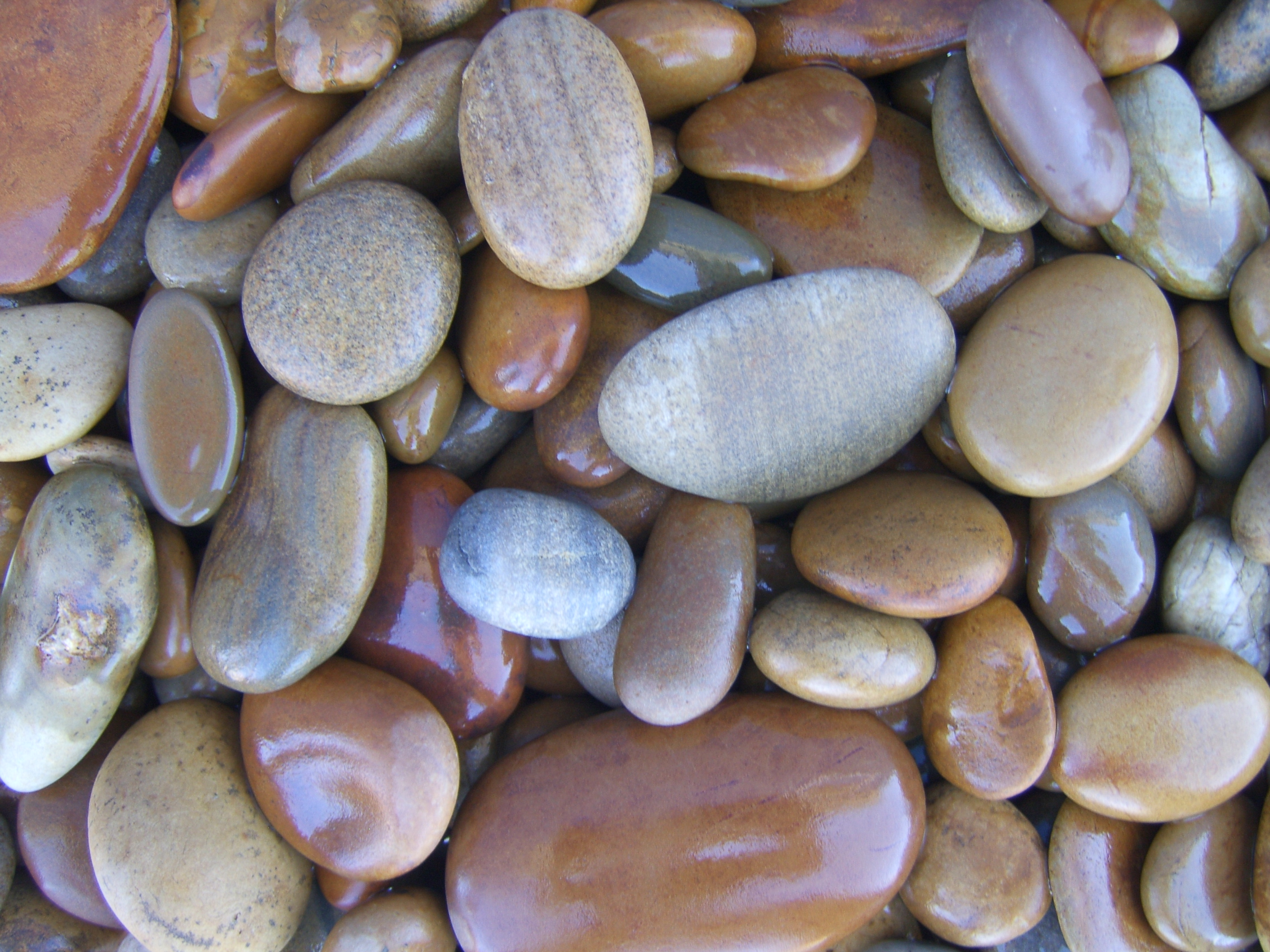 Галька речная желто-коричневый 30-60мм Camonica купить в Санкт-Петербурге