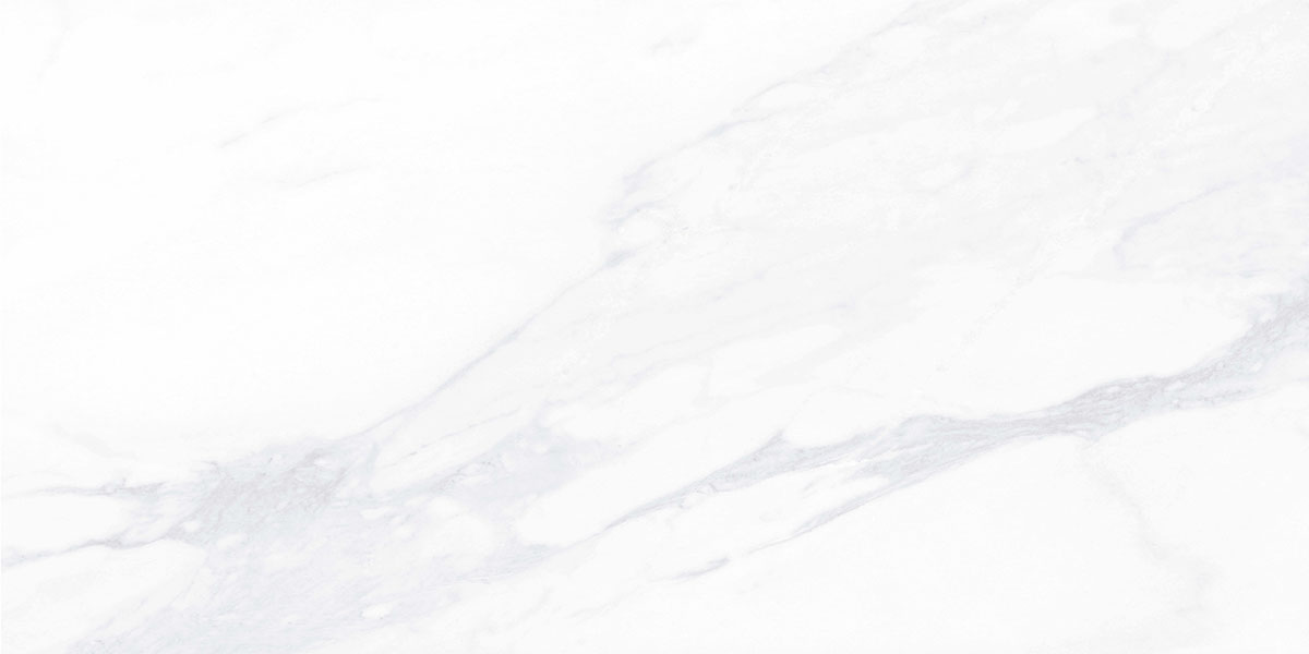 Керамогранит G281 Payer Elegant 120х60 серый матовый MR Гранитея 2.16м2/3шт/упак купить в Санкт-Петербурге