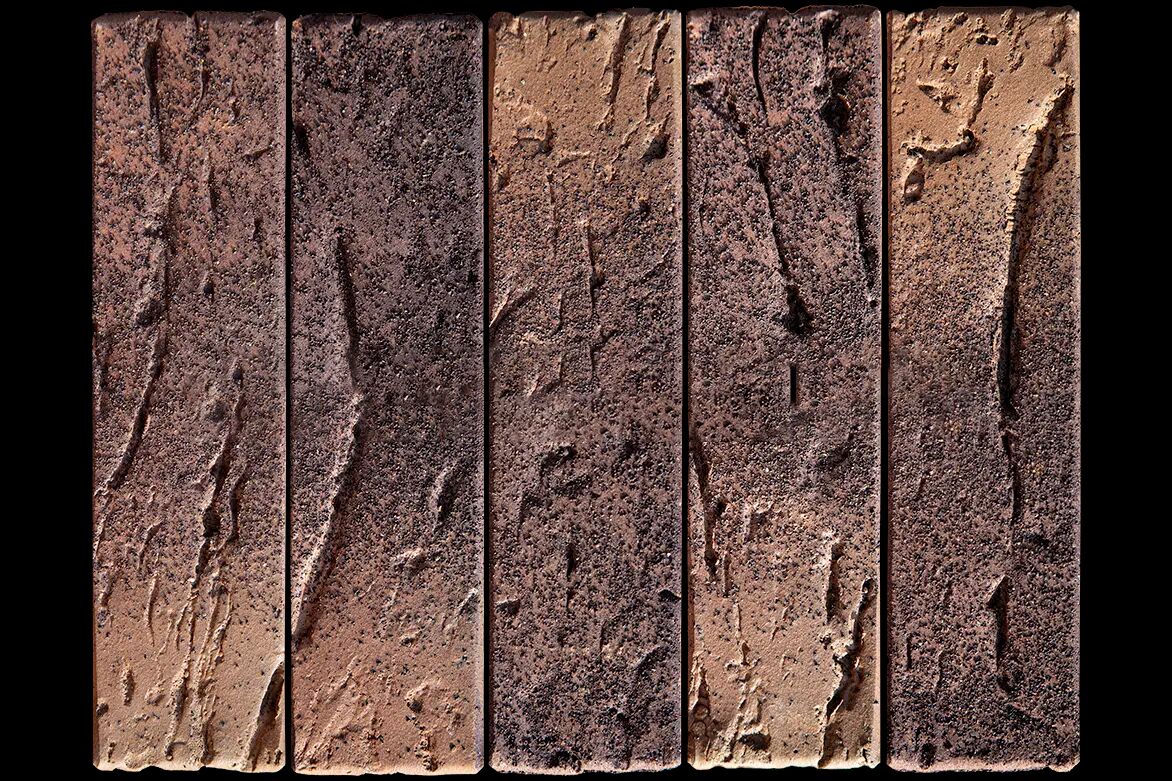 BRAER Кирпич облицовочный пустотелый 1НФ кладка Этна Кора дуба 250х120х65мм 480шт/пд купить в Санкт-Петербурге