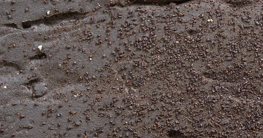 BRAER Кирпич облицовочный пустотелый 1НФ кладка Limited Этна Кора дуба 250х120х65мм 480шт/пд купить в Санкт-Петербурге