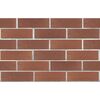 ЛСР Кирпич лицевой пустотелый 1NF утолщ.ст коричневый F100 М-175 рустик 420шт (РКЗ) купить в Санкт-Петербурге