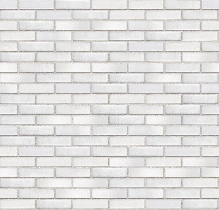 Recke Glanz 1-18-00-0-00 Кирпич облицовочный Белый 1НФ 250х120х65мм 480шт/пд купить в Санкт-Петербурге