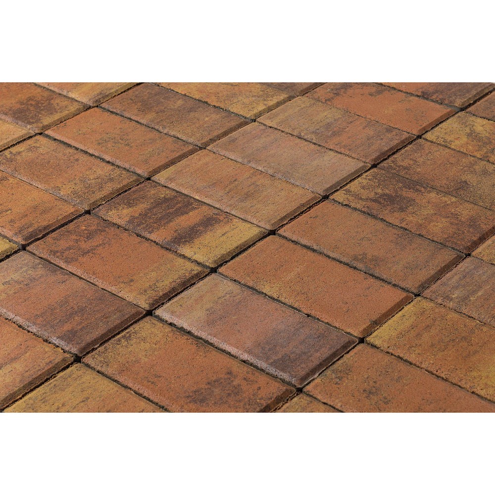 Тротуарная плитка Прямоугольник Color Mix прайд 200х100х40 мм купить в Санкт-Петербурге