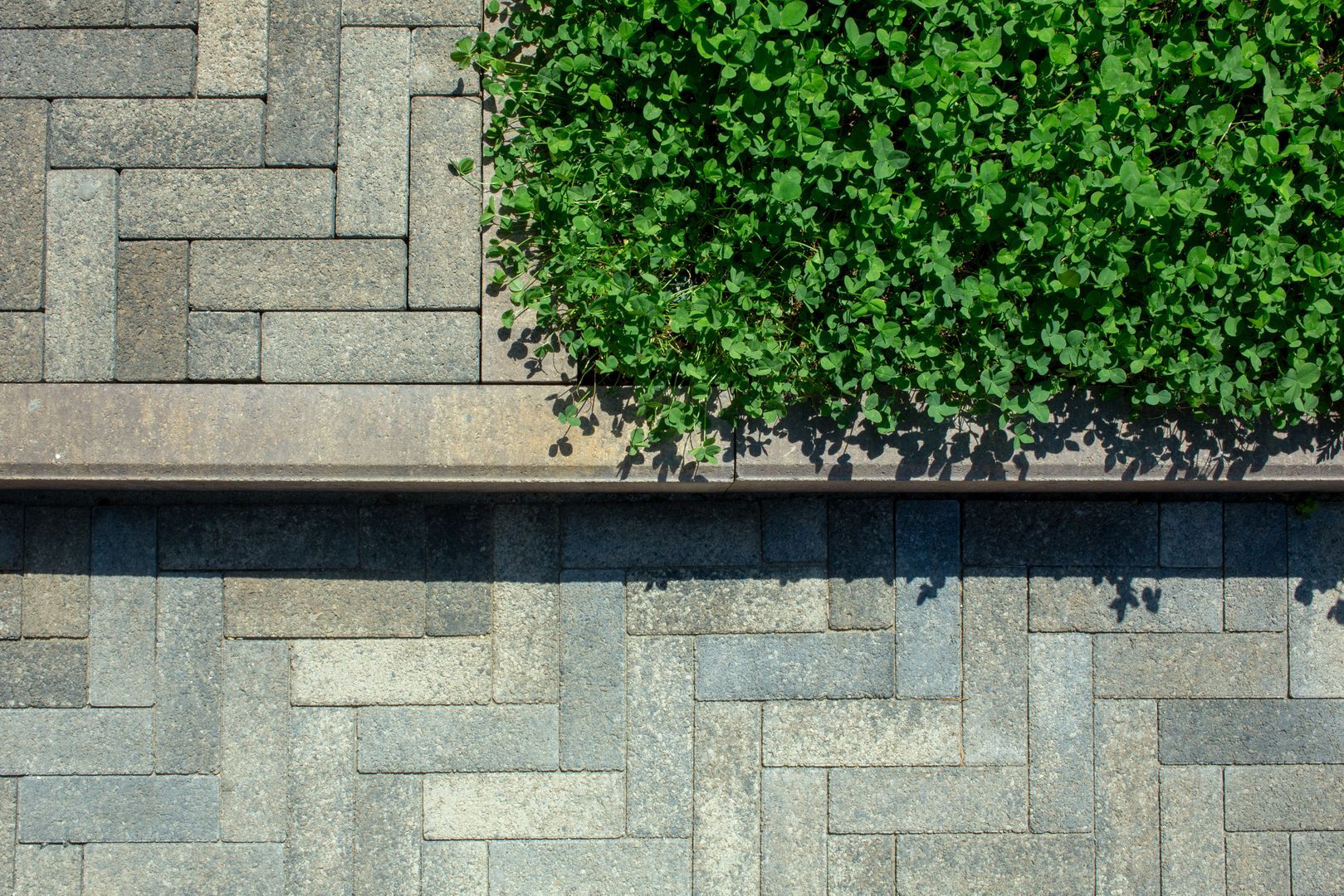 Паркет Б.4.П.6 листопад Старый Замок купить в Санкт-Петербурге