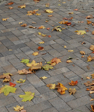 Прямоугольник Б.2.П.6 Листопад гранит 100х200 старый замок купить в Санкт-Петербурге