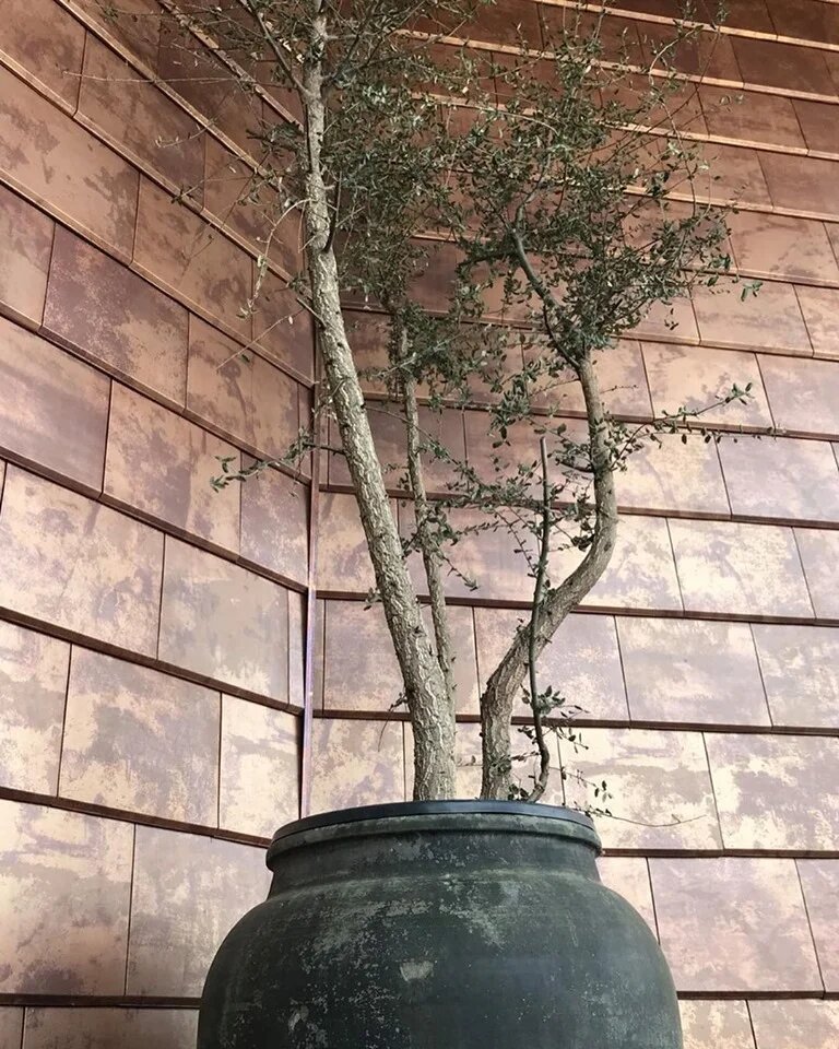 FLAT 5-XL Рядовая черепица Tokyo copper (подкрытие под оксид меди) Tejas Borja купить в Санкт-Петербурге